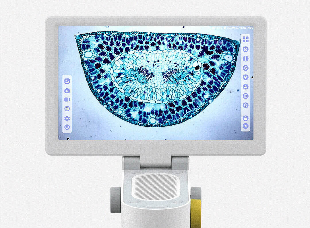 CAST LETON CLMC-5 Biological Microscope