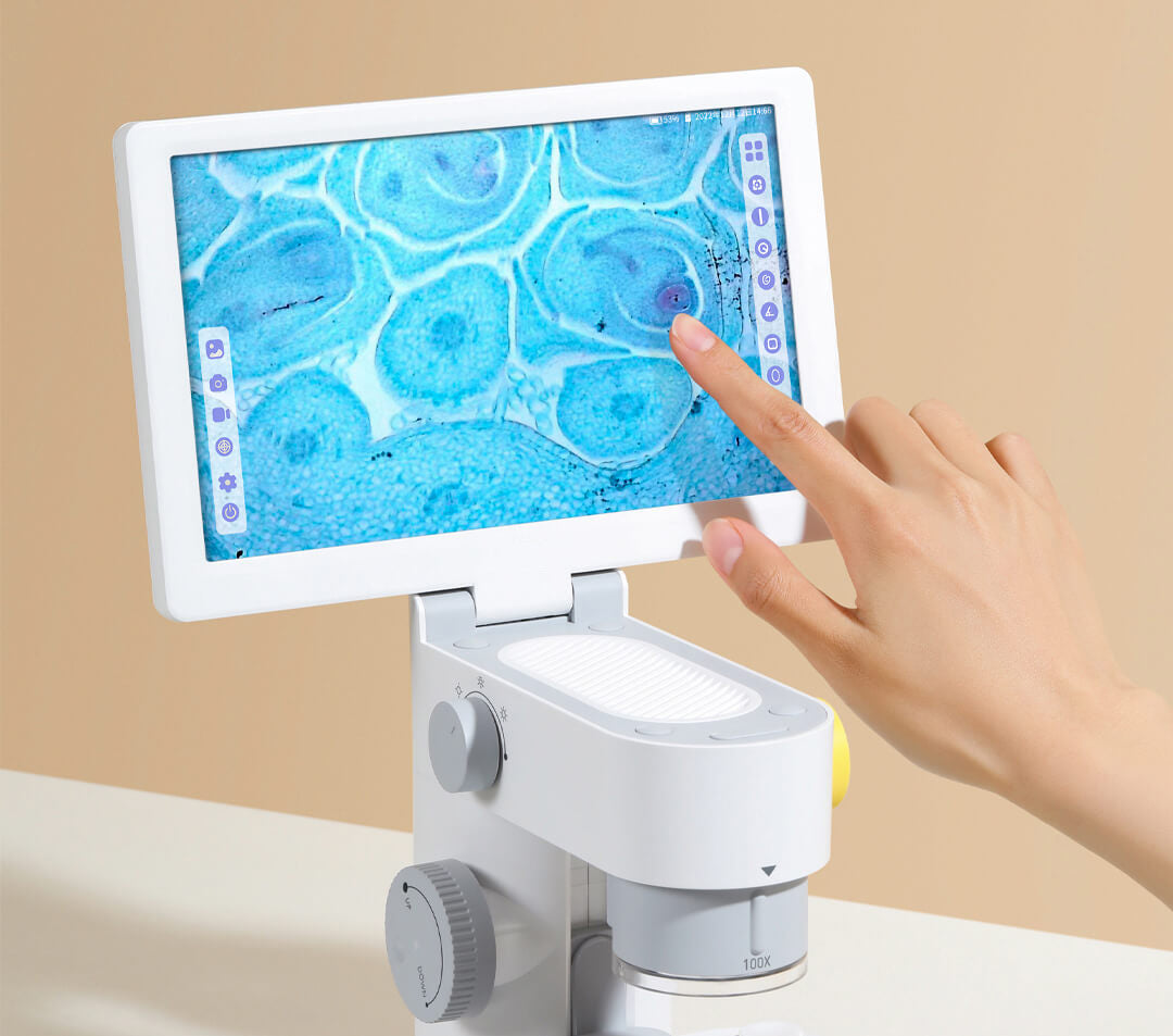 CAST LETON CLMC-5 Biological Microscope