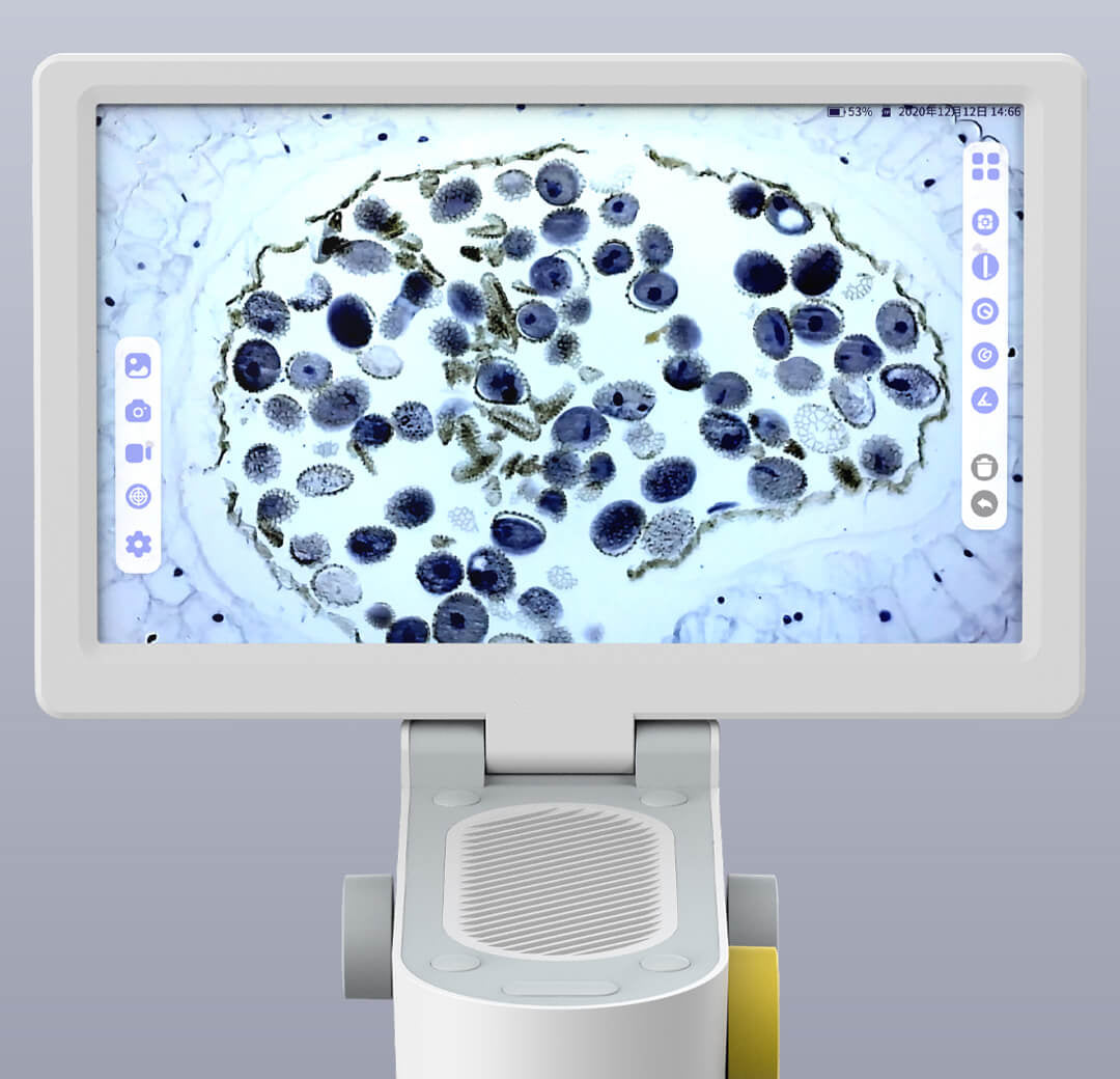 CAST LETON CLMC-5 Biological Microscope